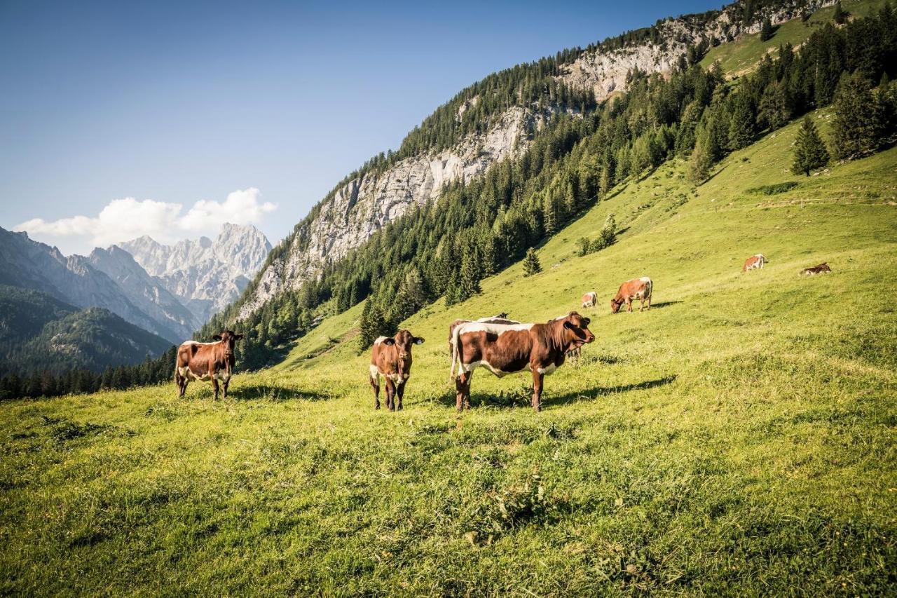 Exklusive Fewo Drachleck Mit 3 Schlafzimmern & Panoramabergblick In Bester Lage Schönau am Königssee Eksteriør billede